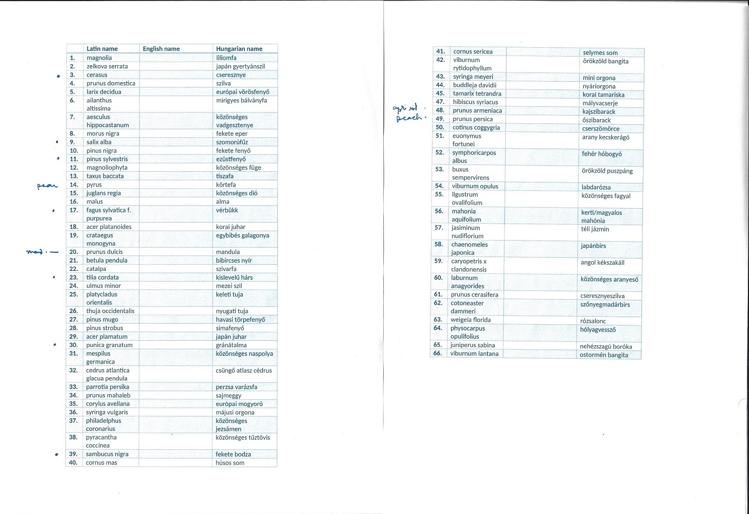 List of trees in India House garden